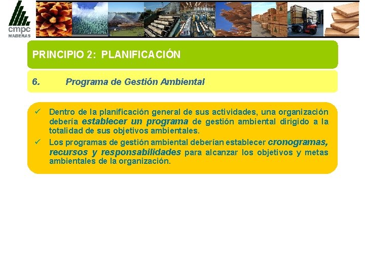 PRINCIPIO 2: PLANIFICACIÓN 6. Programa de Gestión Ambiental ü Dentro de la planificación general