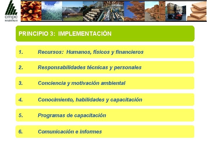 PRINCIPIO 3: IMPLEMENTACIÓN 1. Recursos: Humanos, físicos y financieros 2. Responsabilidades técnicas y personales