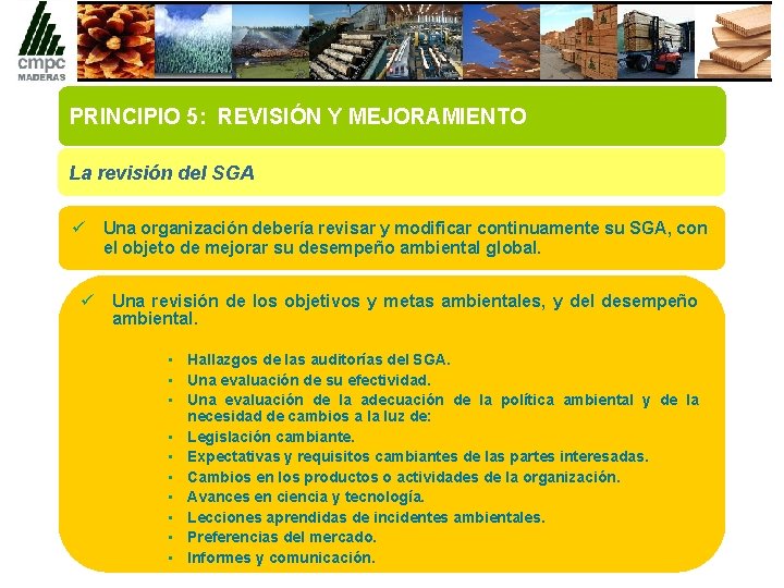 PRINCIPIO 5: REVISIÓN Y MEJORAMIENTO La revisión del SGA ü Una organización debería revisar