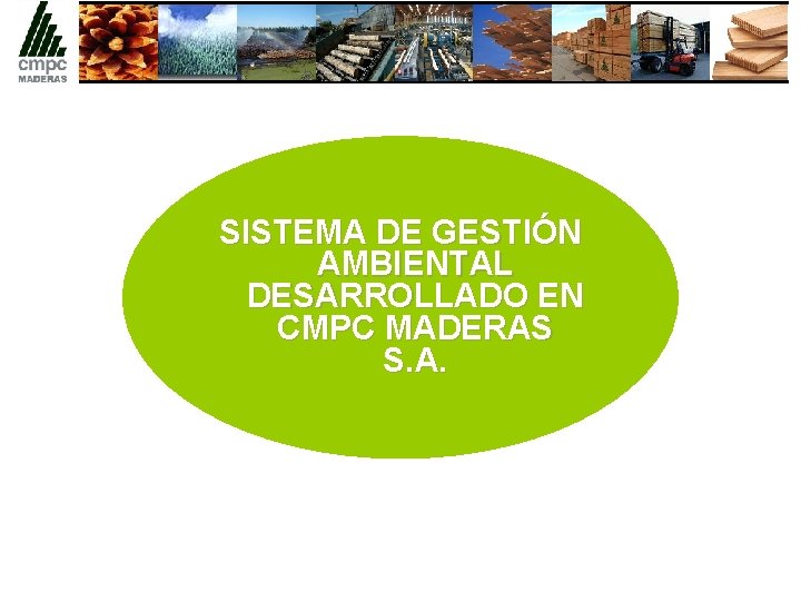 SISTEMA DE GESTIÓN AMBIENTAL DESARROLLADO EN CMPC MADERAS S. A. 