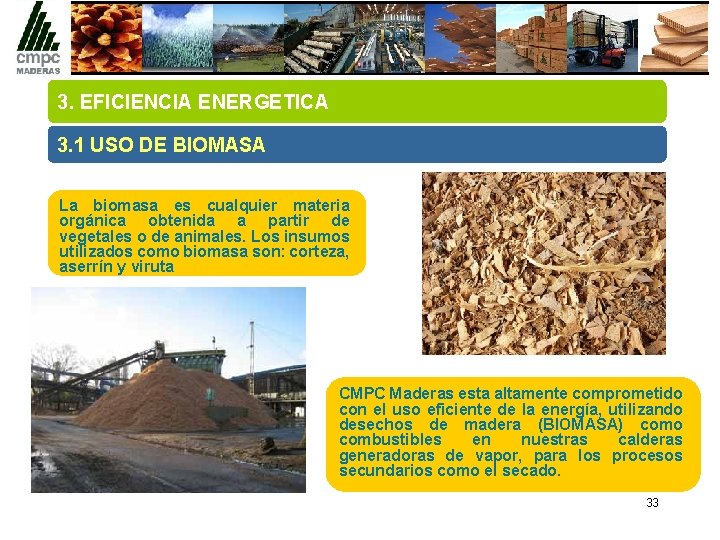 3. EFICIENCIA ENERGETICA 3. 1 USO DE BIOMASA La biomasa es cualquier materia orgánica