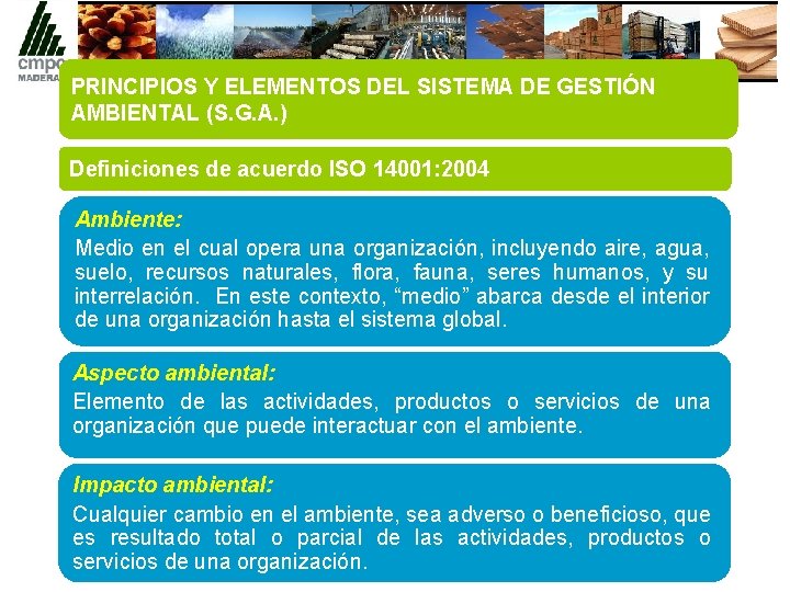 PRINCIPIOS Y ELEMENTOS DEL SISTEMA DE GESTIÓN AMBIENTAL (S. G. A. ) Definiciones de