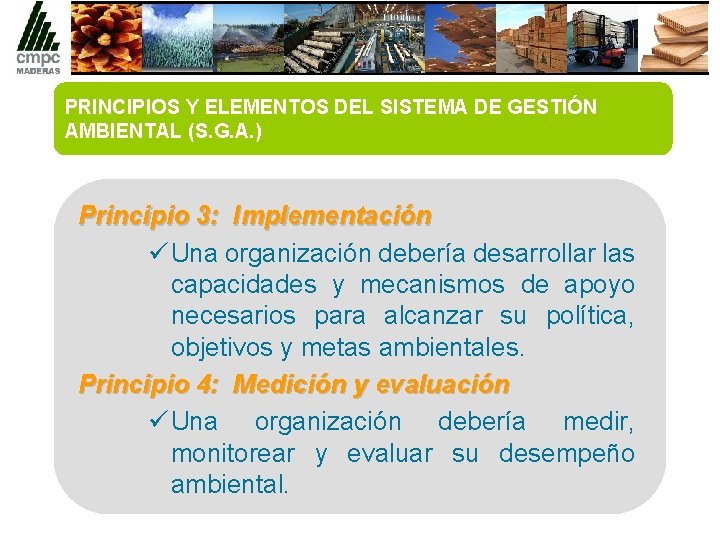 PRINCIPIOS Y ELEMENTOS DEL SISTEMA DE GESTIÓN AMBIENTAL (S. G. A. ) Principio 3: