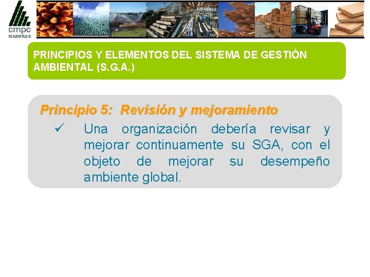 PRINCIPIOS Y ELEMENTOS DEL SISTEMA DE GESTIÓN AMBIENTAL (S. G. A. ) Principio 5: