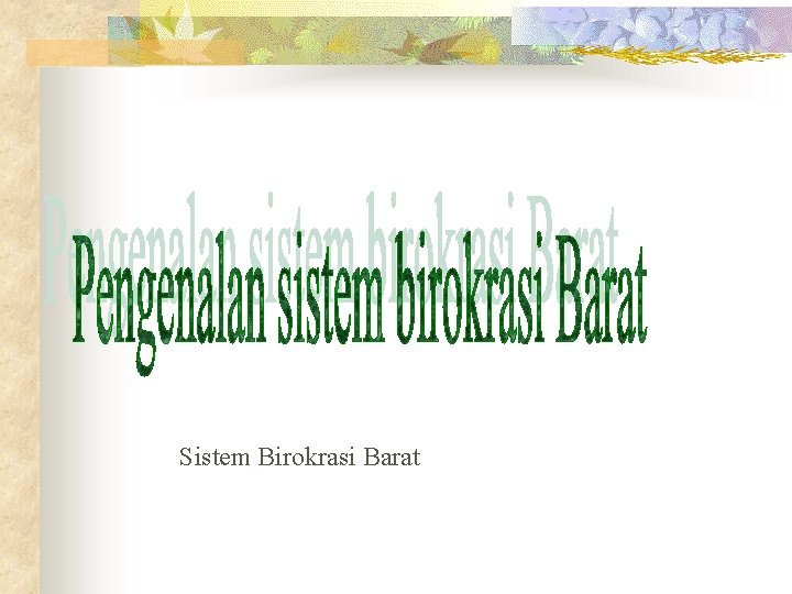 Sistem Birokrasi Barat 