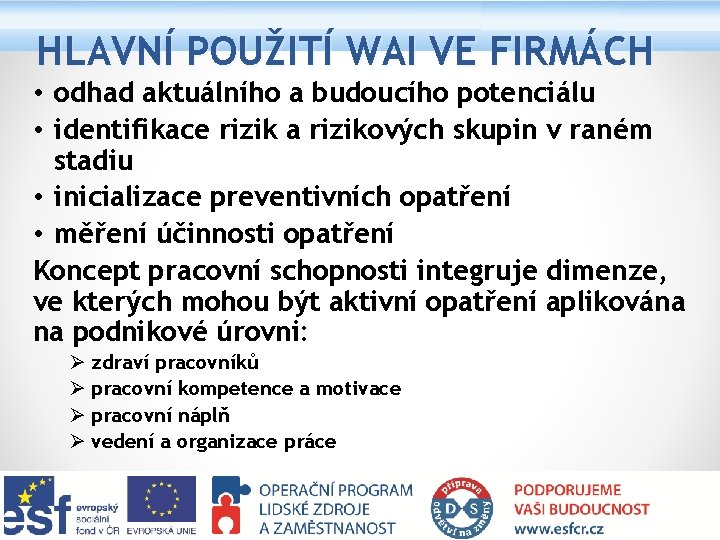 HLAVNÍ POUŽITÍ WAI VE FIRMÁCH • odhad aktuálního a budoucího potenciálu • identifikace rizik