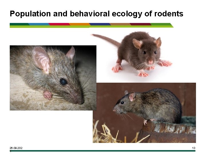 Population and behavioral ecology of rodents 26. 09. 202 1 13 