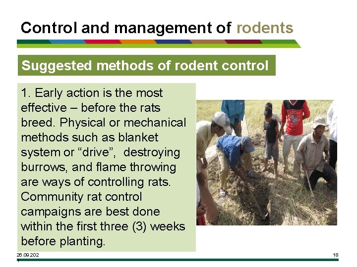 Control and management of rodents Suggested methods of rodent control 1. Early action is
