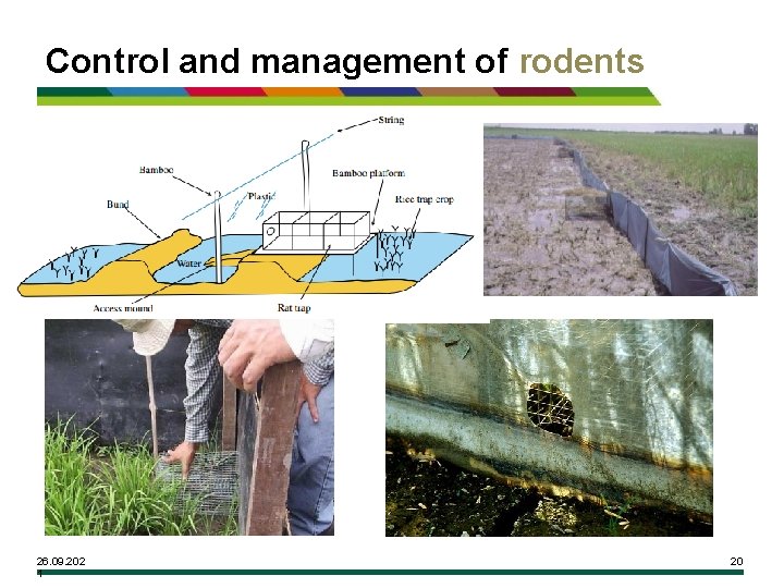 Control and management of rodents 26. 09. 202 1 20 