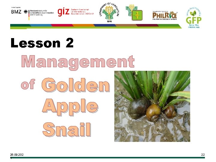 Lesson 2 Management of 26. 09. 202 1 Golden Apple Snail 22 