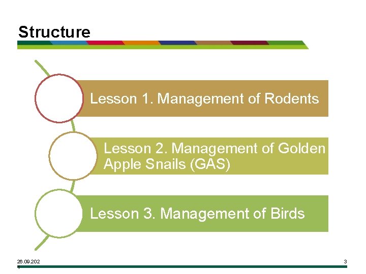 Structure Lesson 1. Management of Rodents Lesson 2. Management of Golden Apple Snails (GAS)