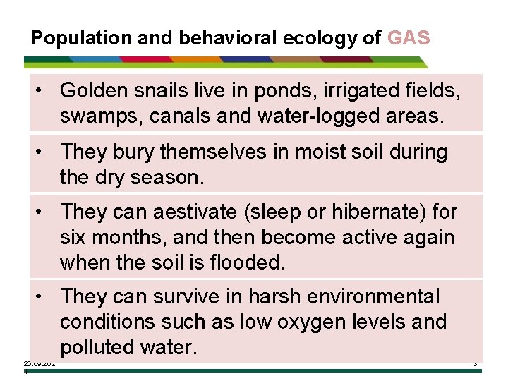 Population and behavioral ecology of GAS • Golden snails live in ponds, irrigated fields,