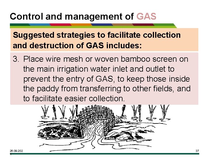 Control and management of GAS Suggested strategies to facilitate collection and destruction of GAS