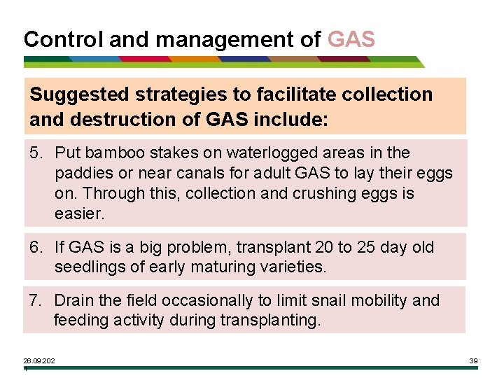 Control and management of GAS Suggested strategies to facilitate collection and destruction of GAS