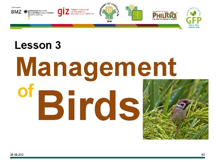 Lesson 3 Management of 26. 09. 202 1 Birds 43 