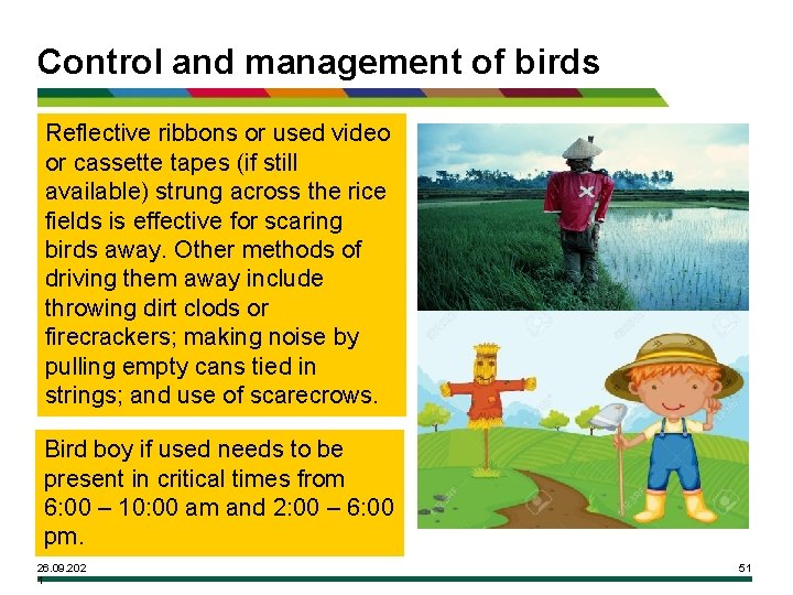 Control and management of birds Reflective ribbons or used video or cassette tapes (if