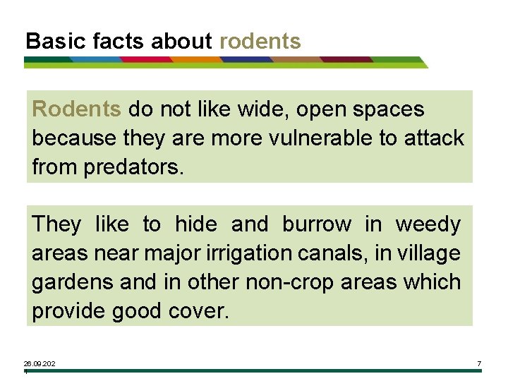 Basic facts about rodents Rodents do not like wide, open spaces because they are