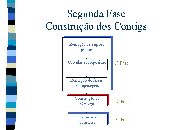 Segunda Fase Construção dos Contigs Remoção de regiões pobres Calcular sobreposição 1º Fase Remoção