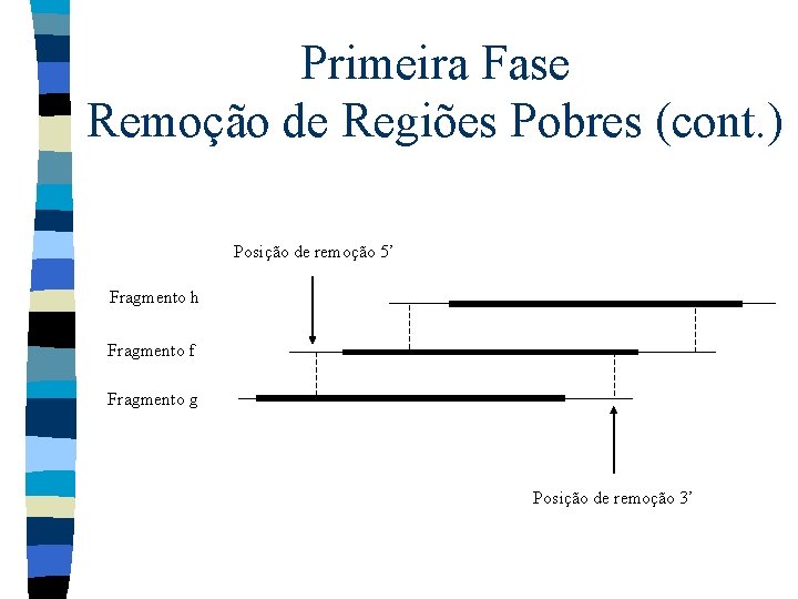 Primeira Fase Remoção de Regiões Pobres (cont. ) Posição de remoção 5’ Fragmento h