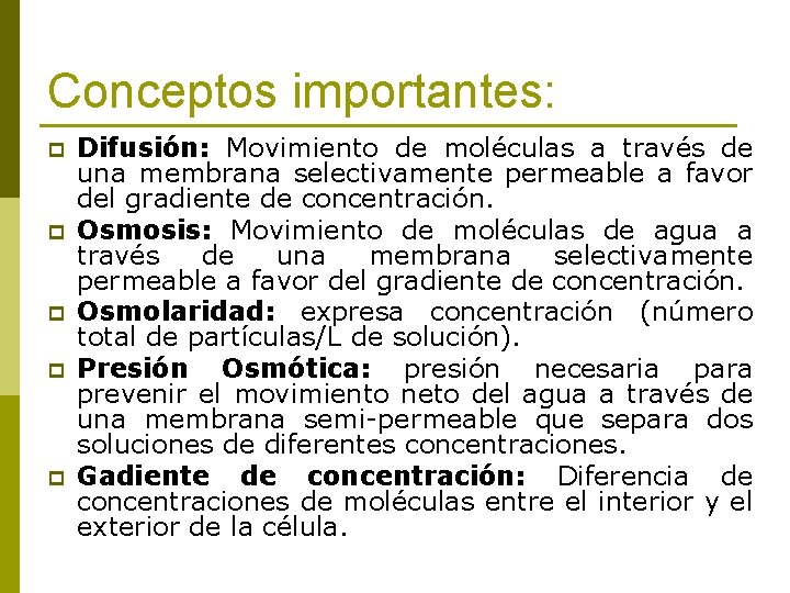 Conceptos importantes: p p p Difusión: Movimiento de moléculas a través de una membrana