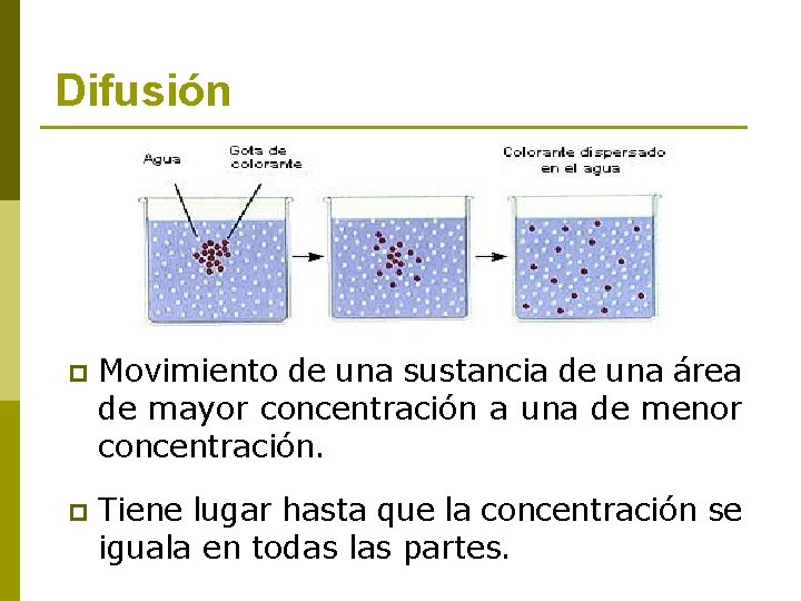 Difusión p Movimiento de una sustancia de una área de mayor concentración a una