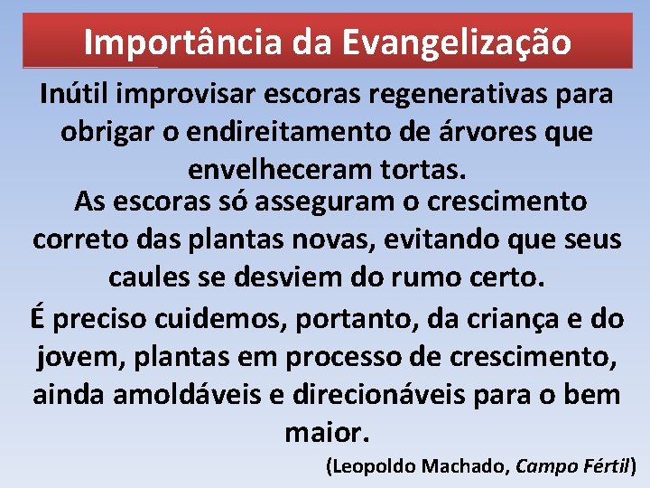 Importância da Evangelização Inútil improvisar escoras regenerativas para obrigar o endireitamento de árvores que