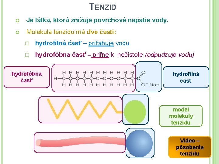 TENZID Je látka, ktorá znižuje povrchové napätie vody. Molekula tenzidu má dve časti: �