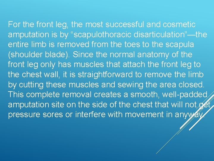 For the front leg, the most successful and cosmetic amputation is by “scapulothoracic disarticulation”—the