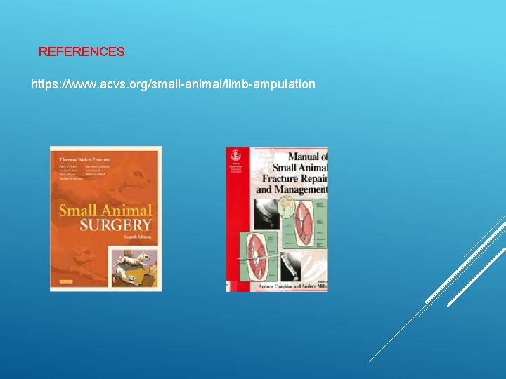 REFERENCES https: //www. acvs. org/small-animal/limb-amputation 