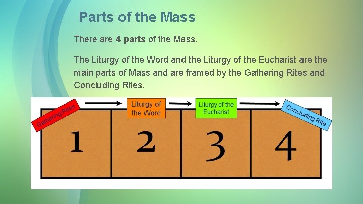 Parts of the Mass There are 4 parts of the Mass. The Liturgy of