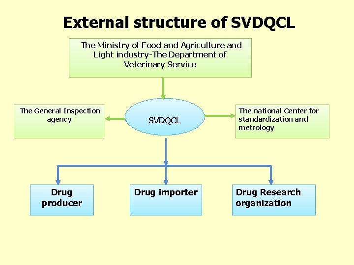 External structure of SVDQCL The Ministry of Food and Agriculture and Light industry-The Department
