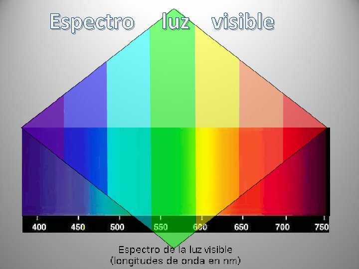 Espectro luz visible 