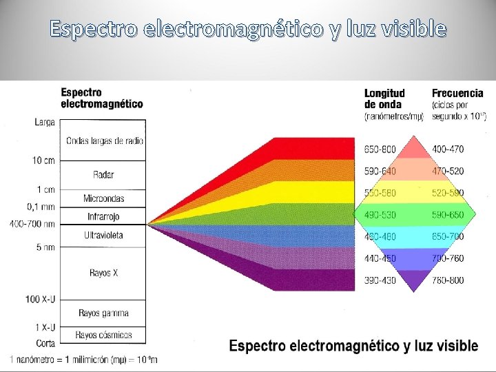 Espectro electromagnético y luz visible 