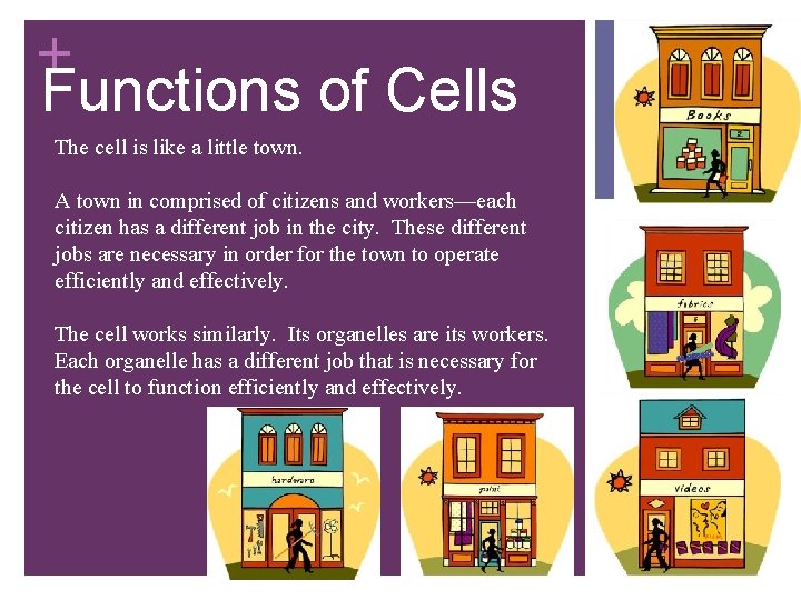 + Functions of Cells The cell is like a little town. A town in