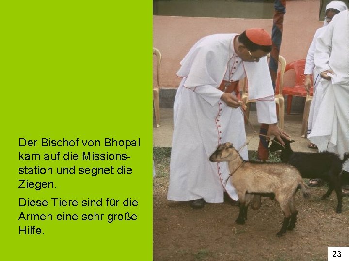 Der Bischof von Bhopal kam auf die Missionsstation und segnet die Ziegen. Diese Tiere