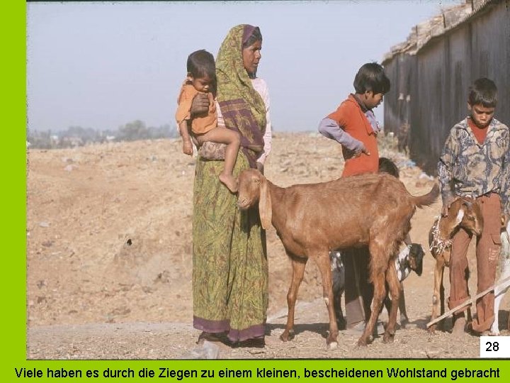 28 Viele haben es durch die Ziegen zu einem kleinen, bescheidenen Wohlstand gebracht 