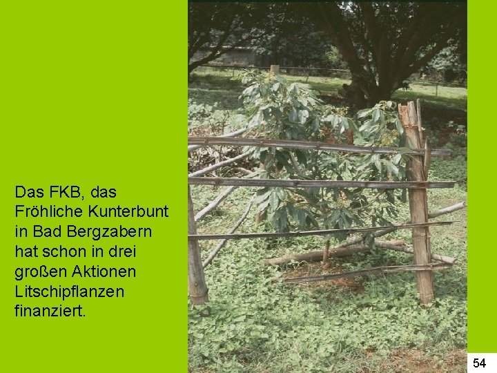 Das FKB, das Fröhliche Kunterbunt in Bad Bergzabern hat schon in drei großen Aktionen