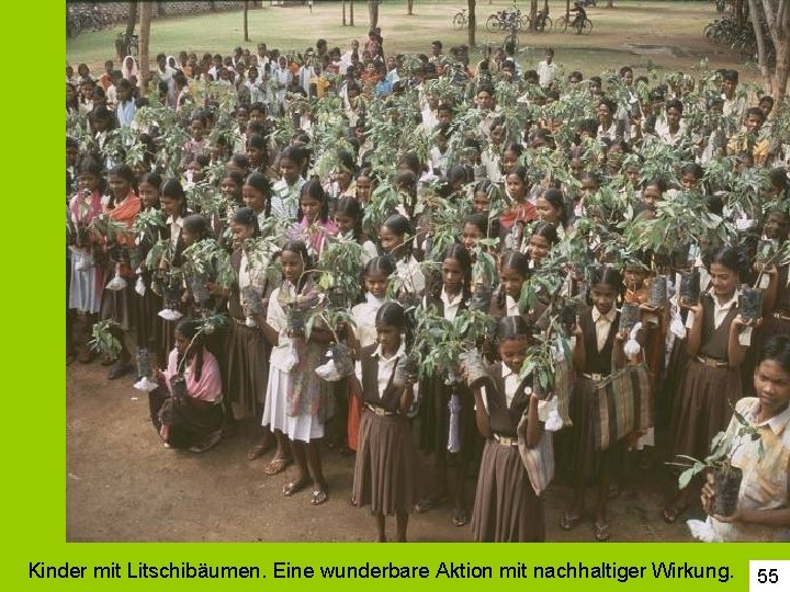 Kinder mit Litschibäumen. Eine wunderbare Aktion mit nachhaltiger Wirkung. 55 