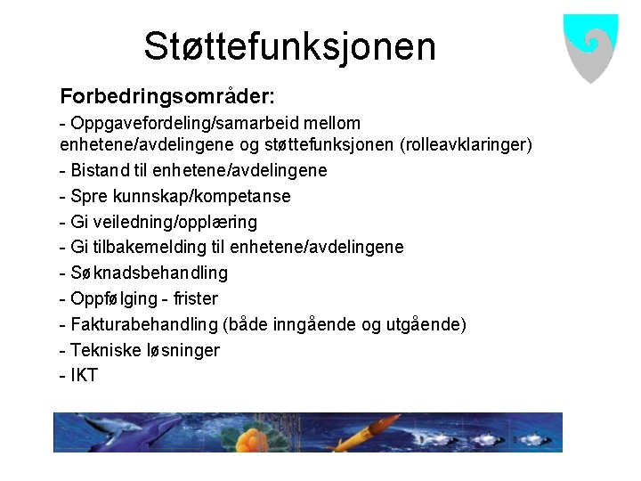 Støttefunksjonen Forbedringsområder: - Oppgavefordeling/samarbeid mellom enhetene/avdelingene og støttefunksjonen (rolleavklaringer) - Bistand til enhetene/avdelingene -