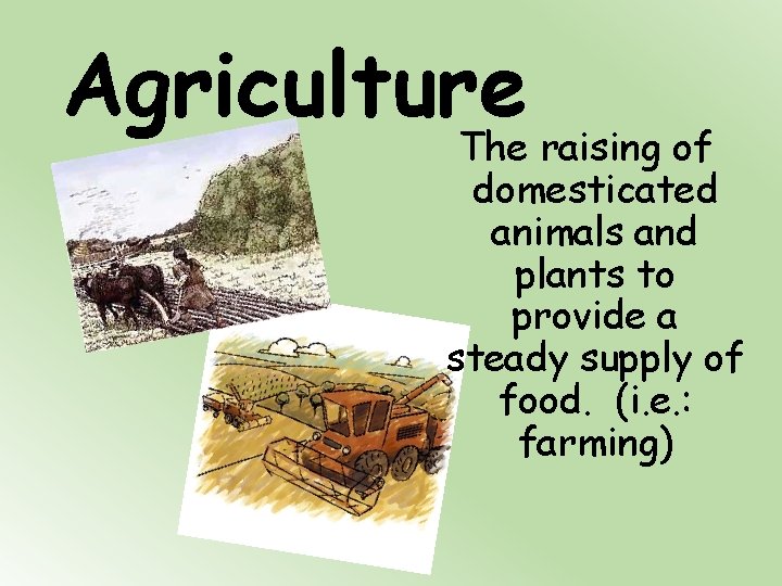 Agriculture The raising of domesticated animals and plants to provide a steady supply of