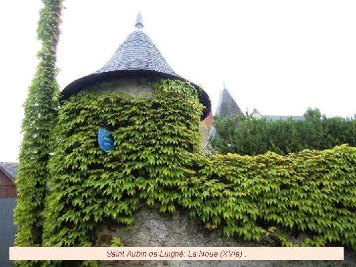 Saint Aubin de Luigné: La Noue (XVIe). 