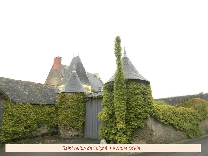 Saint Aubin de Luigné: La Noue (XVIe). 