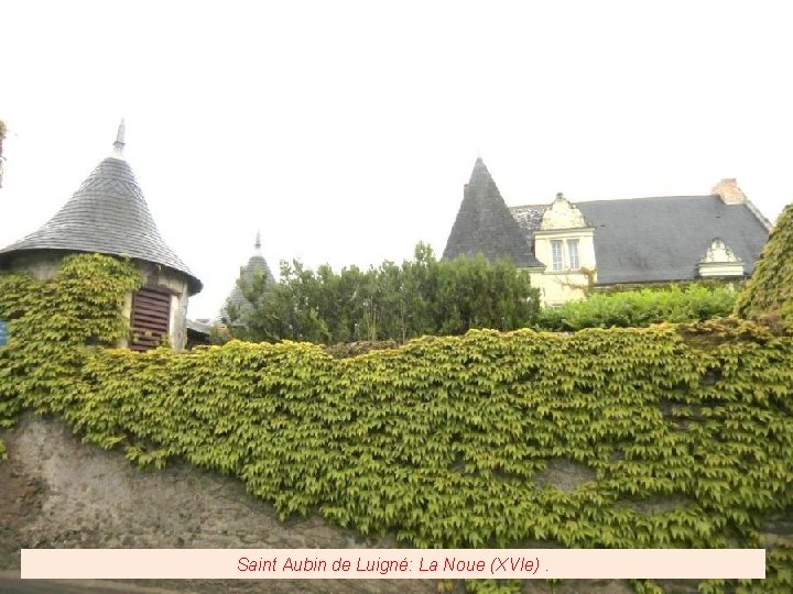 Saint Aubin de Luigné: La Noue (XVIe). 