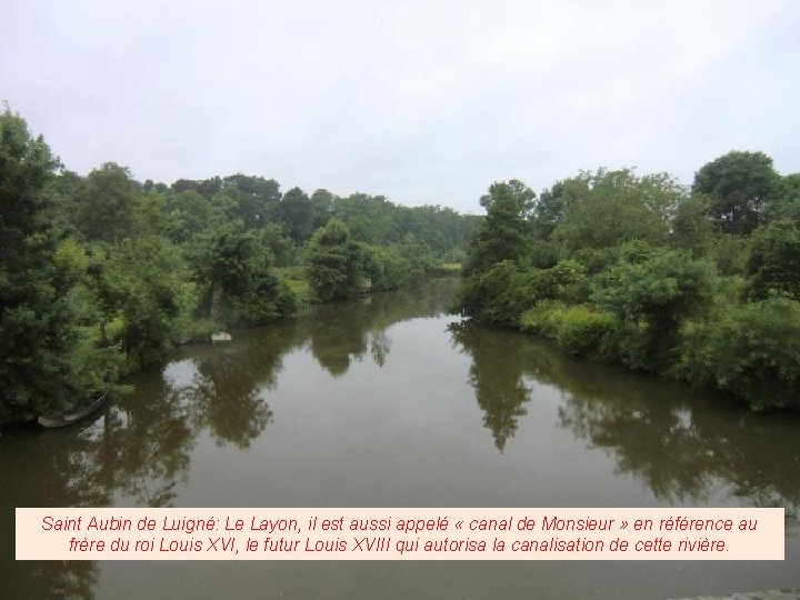 Saint Aubin de Luigné: Le Layon, il est aussi appelé « canal de Monsieur