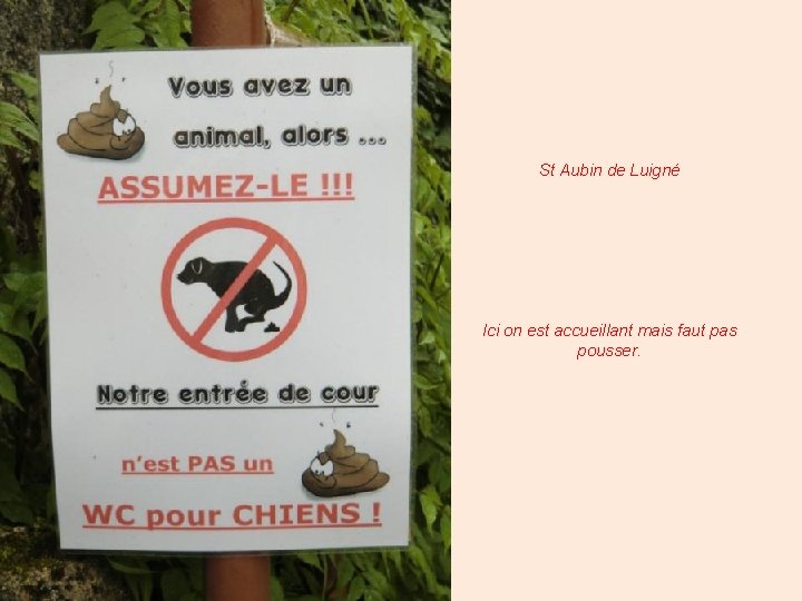 St Aubin de Luigné Ici on est accueillant mais faut pas pousser. 