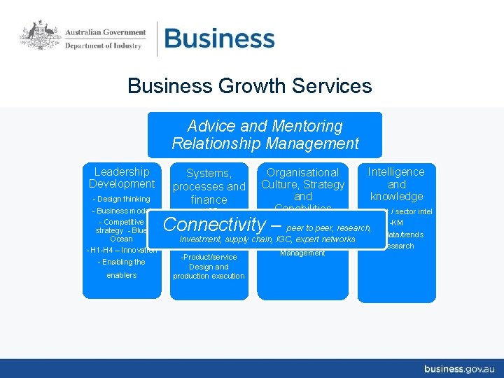 Business Growth Services • Advice and Mentoring Relationship Management. Leadership Development - Design thinking