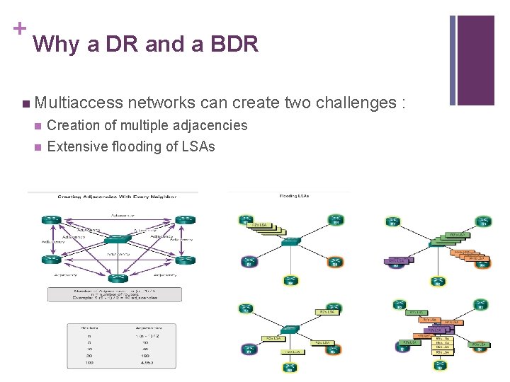 + Why a DR and a BDR n Multiaccess networks can create two challenges