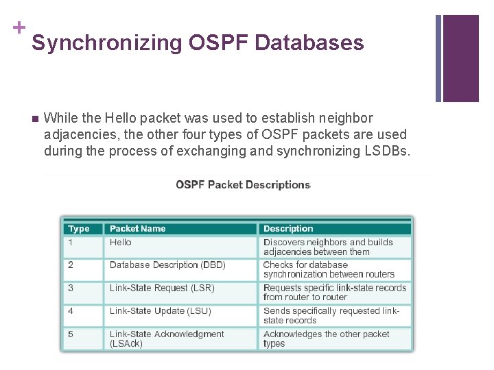 + Synchronizing OSPF Databases n While the Hello packet was used to establish neighbor