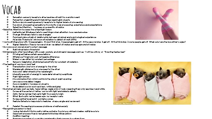 Vocab ❖ ❖ ❖ Sensation-sensory receptors atha receives stimuli from environment Perception-organizing and interpreting