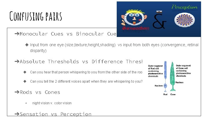 Confusing pairs ➔Monocular Cues vs Binocular Cues ◆ Input from one eye (size, texture,